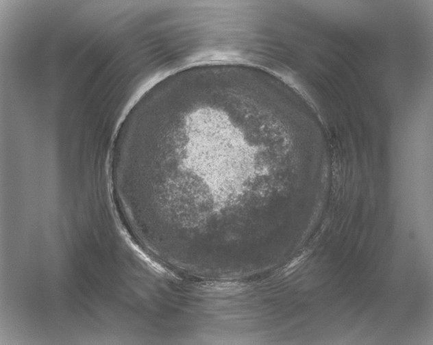 X0000061141382200512022235