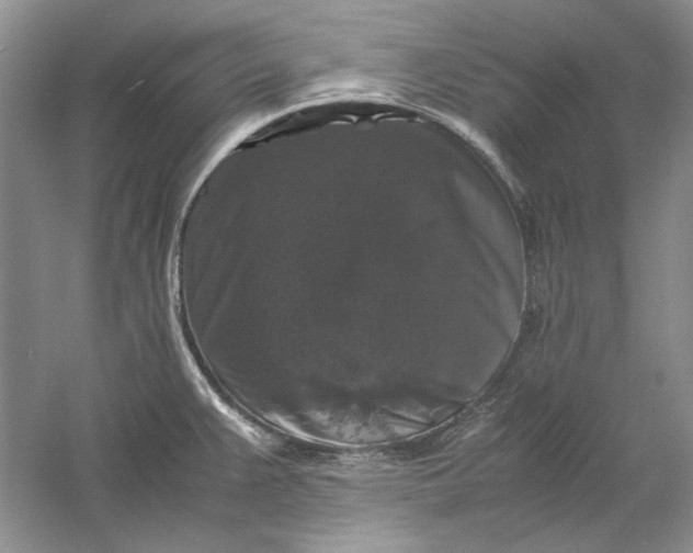 X0000061141383200512022235