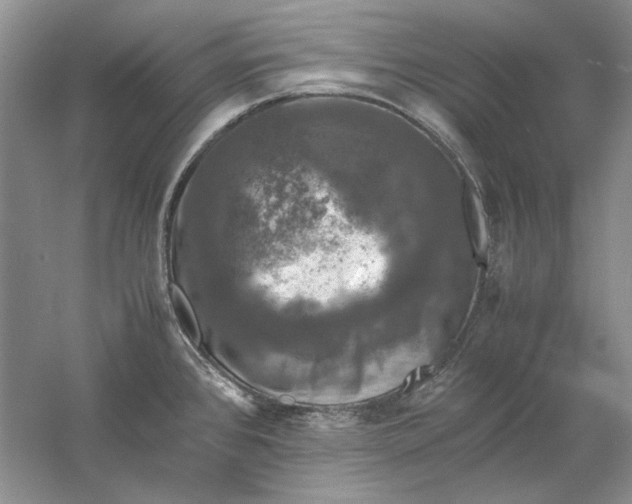 X0000061141384200512022235