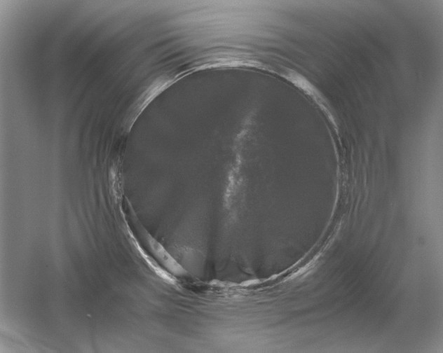 X0000061141385200512022235