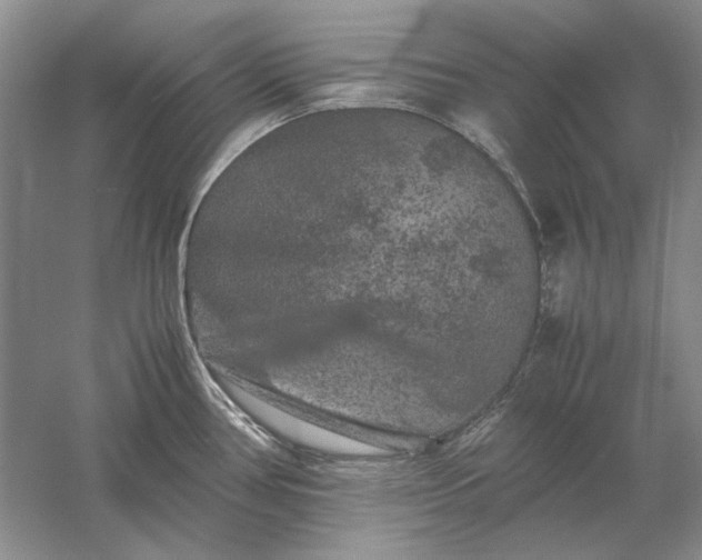 X0000061141386200512022235