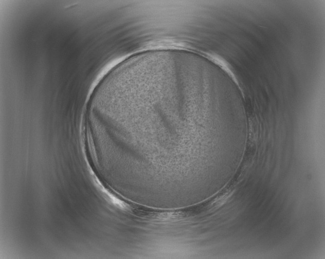 X0000061141387200512022235