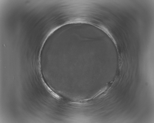 X0000061141388200512022235