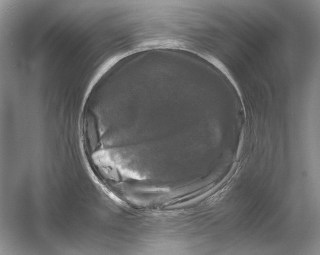 X0000061141389200512022235