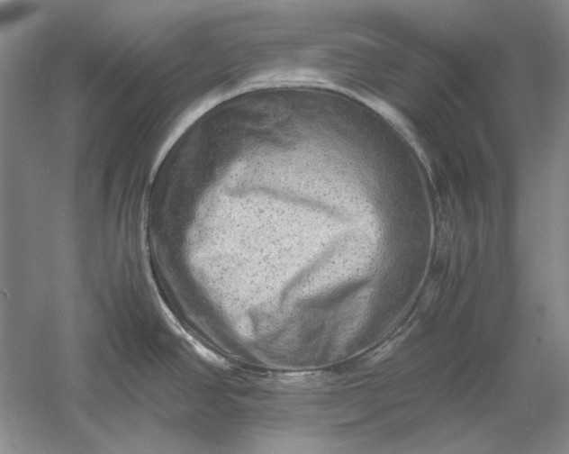 X0000061141390200512022235