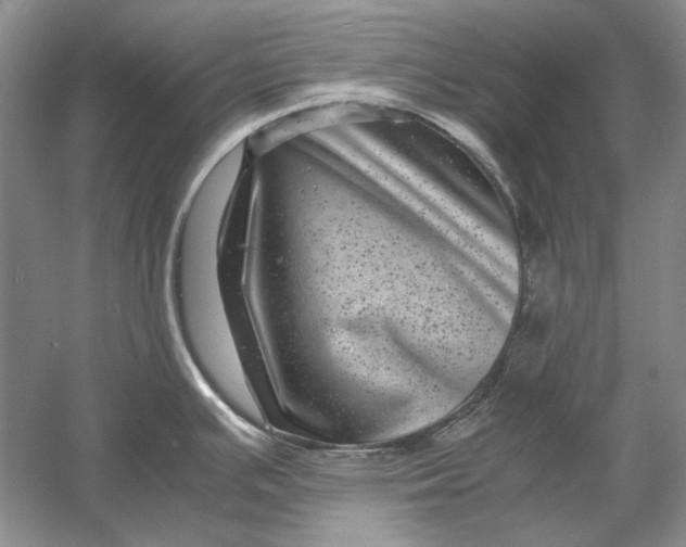 X0000061141391200512022235