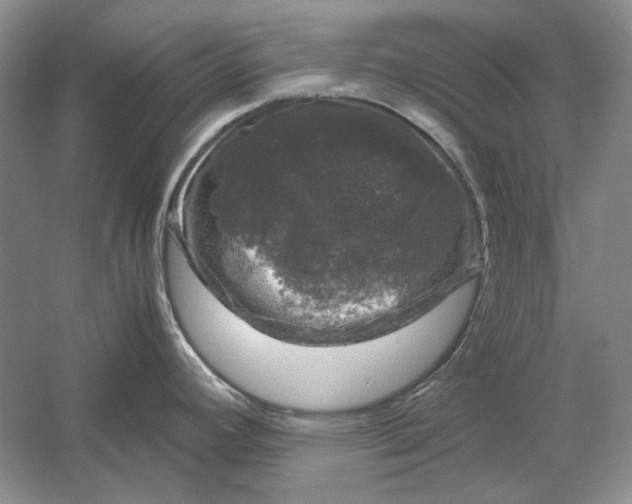 X0000061141392200512022235