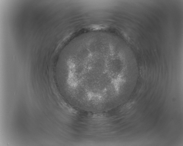 X0000061141393200512022234