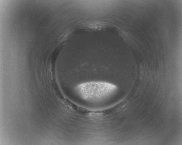 X0000061141394200512022234