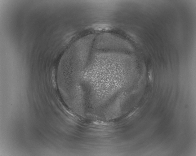 X0000061141396200512022234