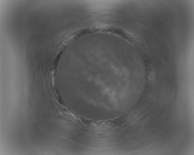 X0000061141397200512022234