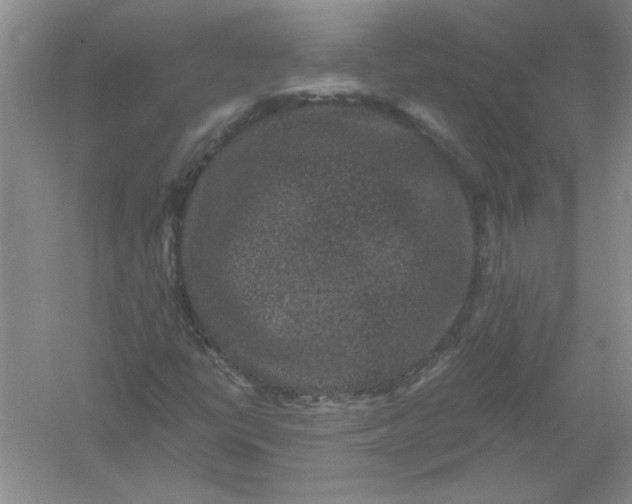 X0000061141398200512022234