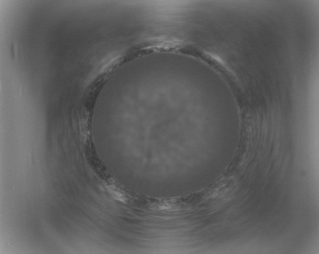 X0000061141399200512022234