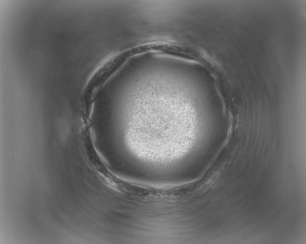 X0000061141400200512022235