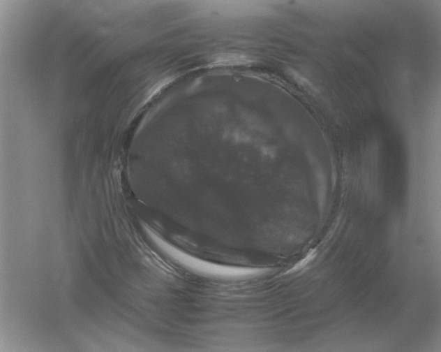 X0000061141401200512022235