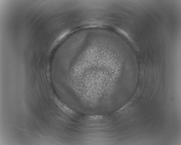 X0000061141403200512022235