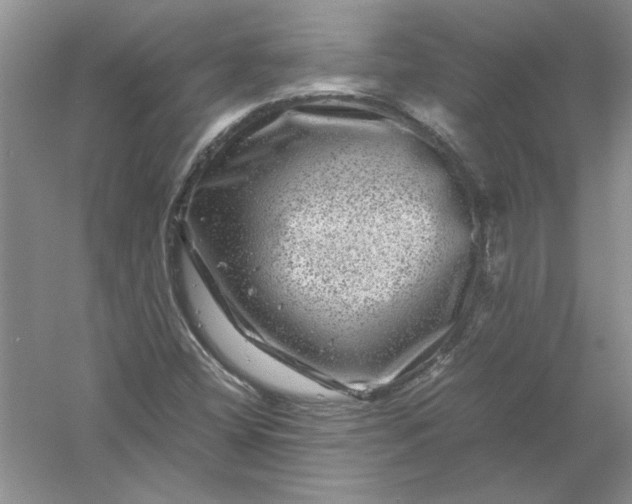 X0000061141404200512022235