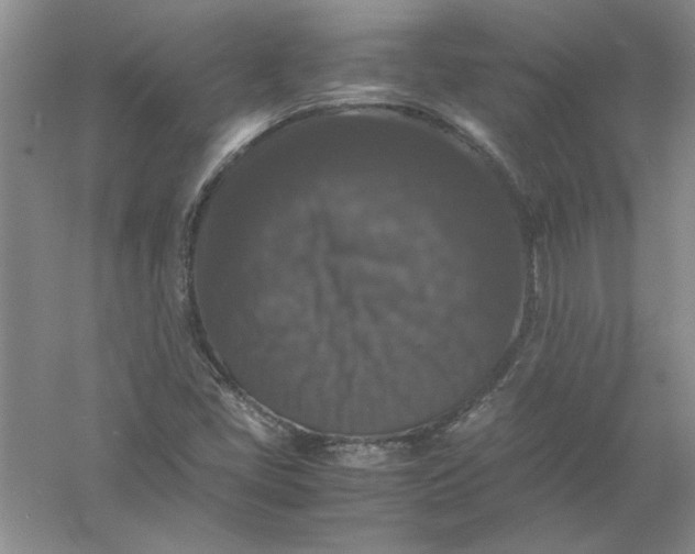 X0000061141405200512022235