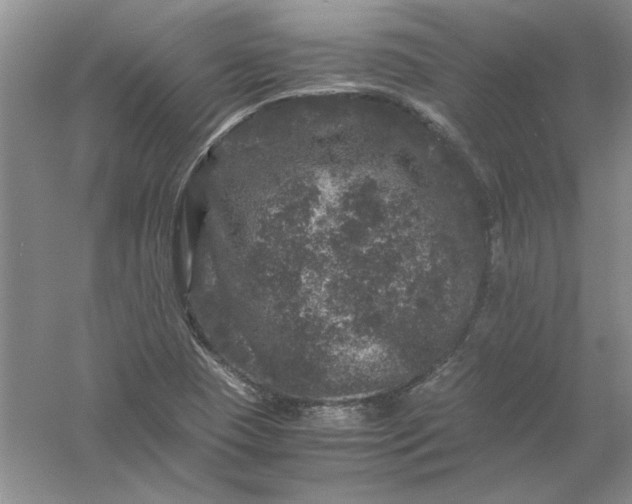 X0000061141409200512022235