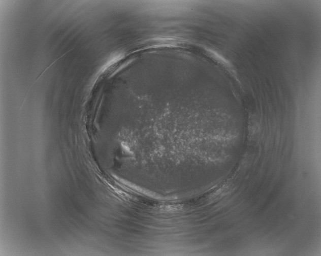 X0000061141411200512022235