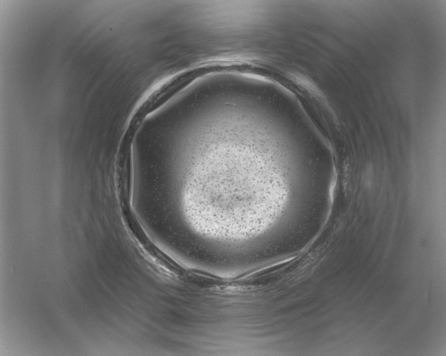 X0000061141412200512022235