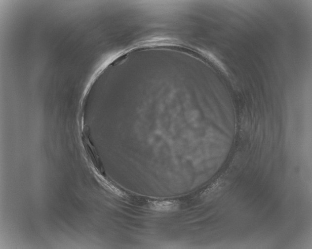 X0000061141413200512022235