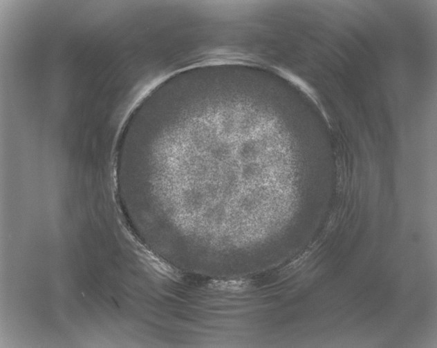 X0000061141415200512022235