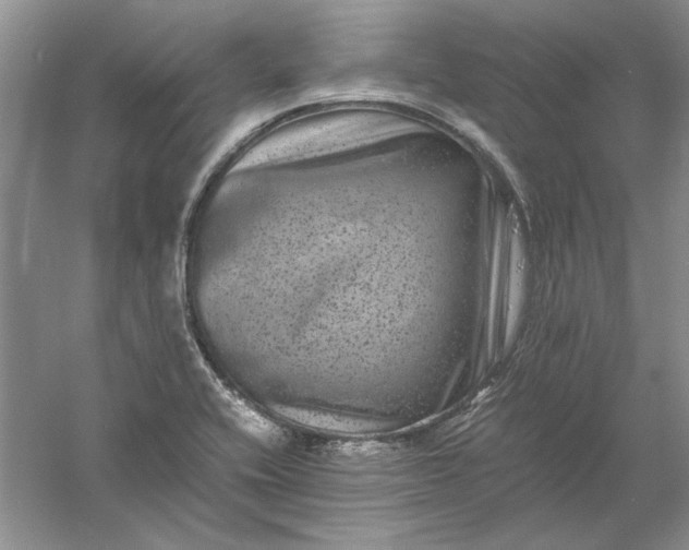 X0000061141416200512022235