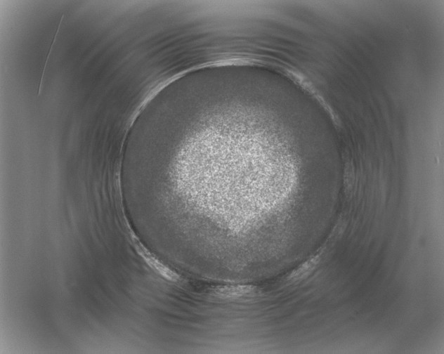 X0000061141417200512022235