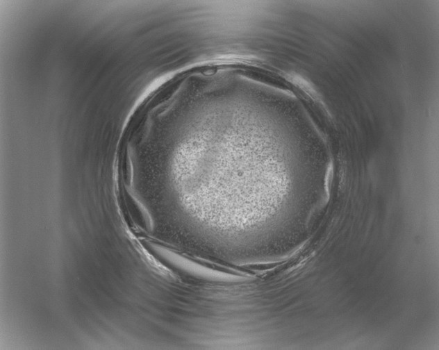 X0000061141420200512022235