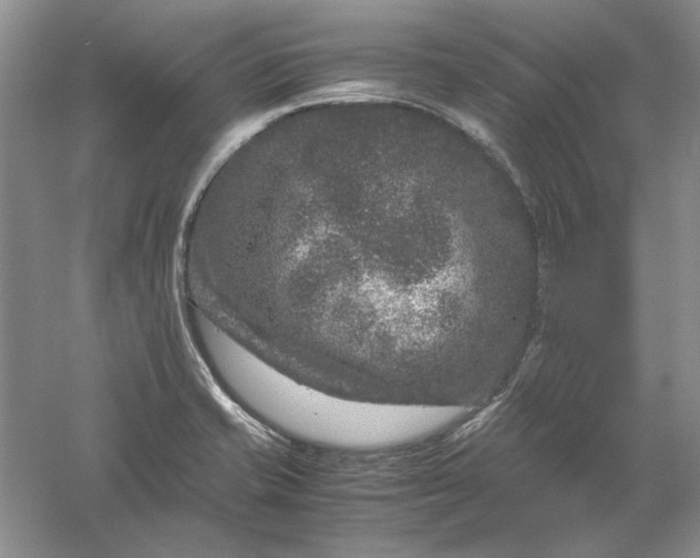 X0000061141421200512022235