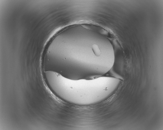 X0000061141422200512022235