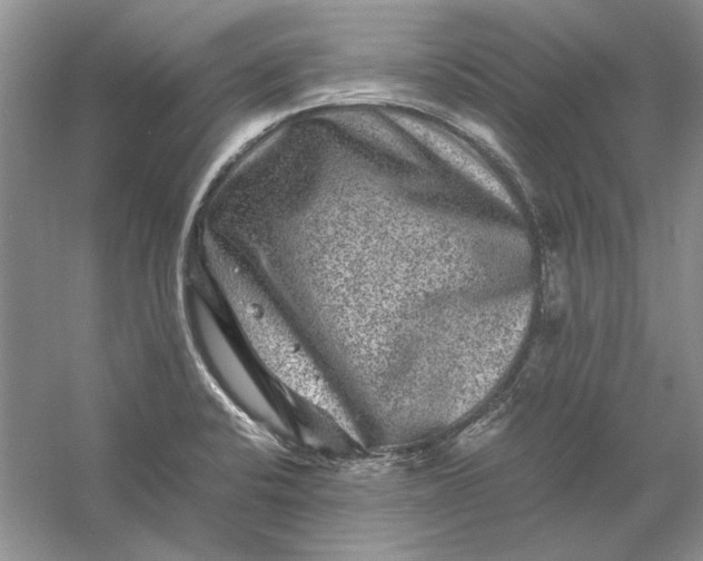 X0000061141424200512022235