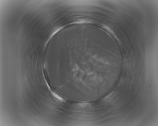 X0000061141425200512022235