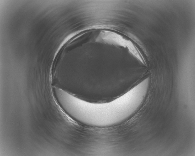 X0000061141428200512022235