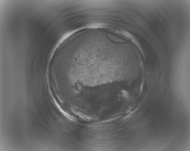 X0000061141429200512022235