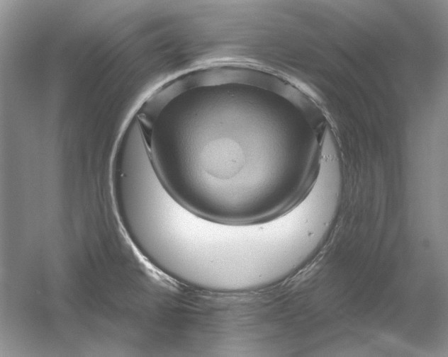 X0000061141430200512022235