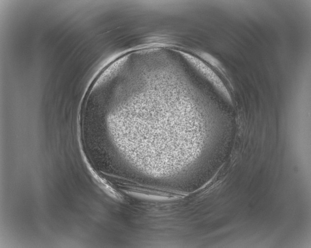 X0000061141431200512022235