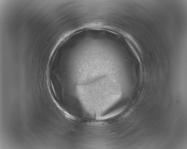 X0000061141432200512022235