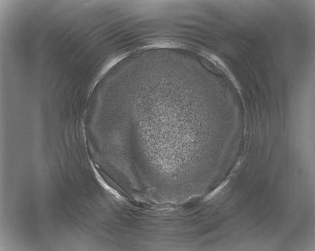 X0000061141433200512022235