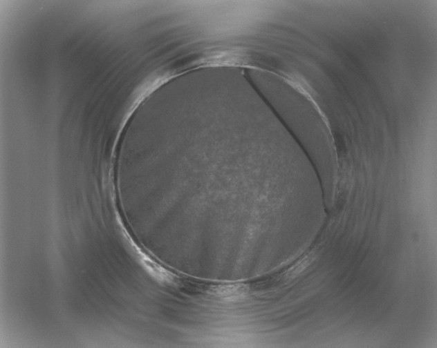 X0000061141434200512022235