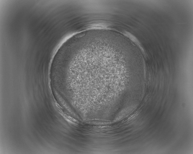 X0000061141435200512022235