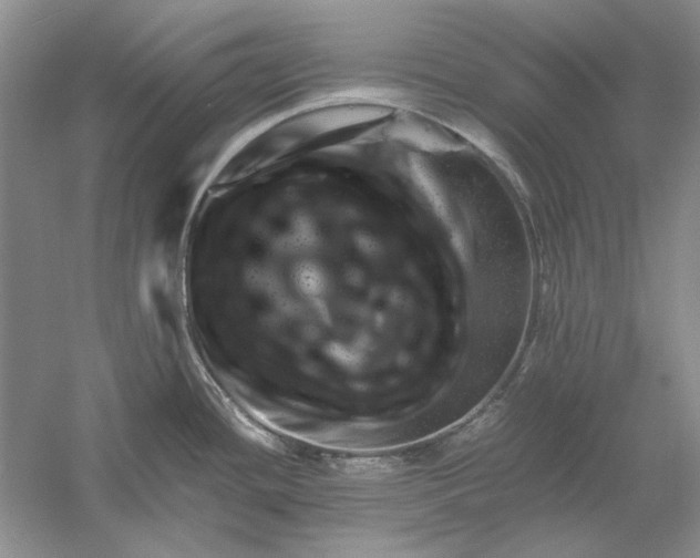 X0000061141436200512022235