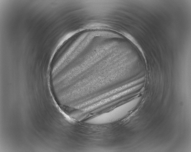 X0000061141437200512022235