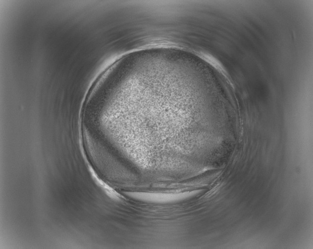 X0000061141439200512022235