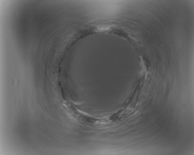 X0000061141441200512022234