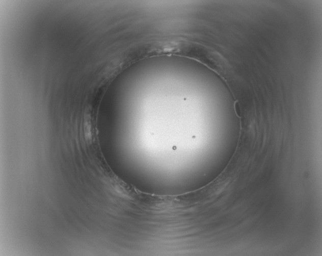 X0000061141442200512022234