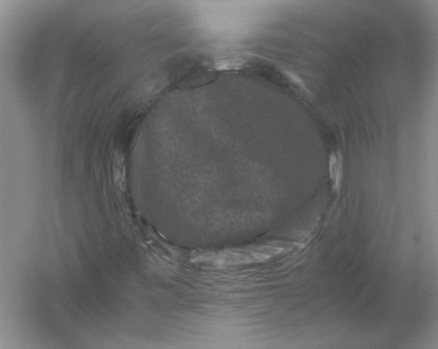 X0000061141443200512022234