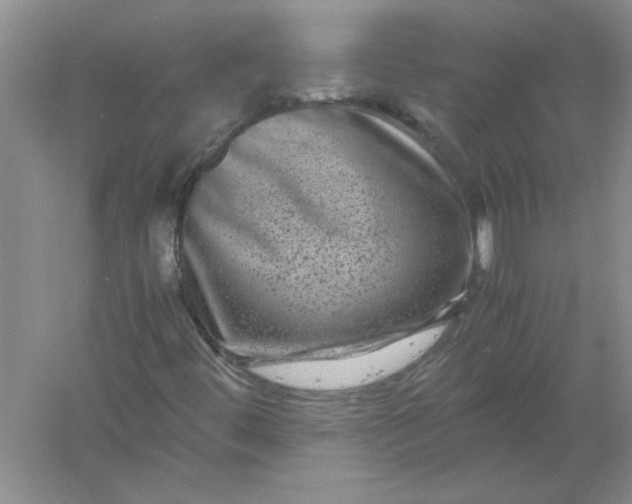 X0000061141444200512022234