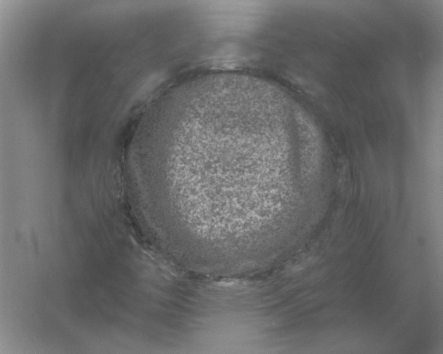 X0000061141446200512022234